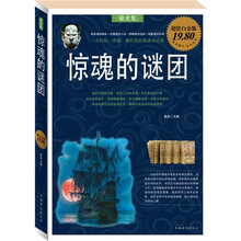 惊魂的谜团（超值白金版）