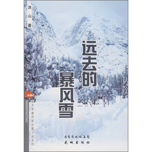 远去的暴风雪