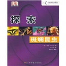 探索:斑斓昆虫