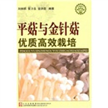 平菇与金针菇优质高效栽培