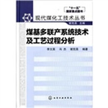 现代煤化工技术丛书：煤基多联产系统技术及工艺过程分析