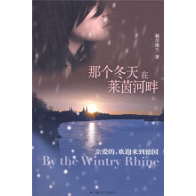 那个冬天在莱茵河畔:亲爱的,欢迎来到德国