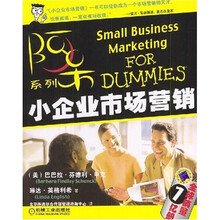 阿呆系列：小企业市场营销
