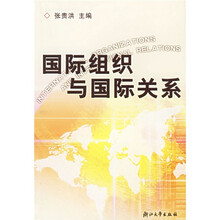 国际组织与国际关系
