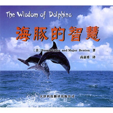 海豚的智慧