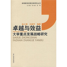 卓越与效益：大学重点发展战略研究
