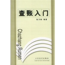 查账入门