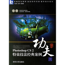 功夫:Photoshop CS 2特效技法经典案例(附光盘2张)