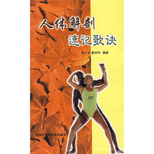 人体解剖速记歌诀
