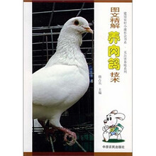 图文精解养肉鸽技术