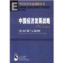 中国经济发展战略No.3：2005发展观与战略