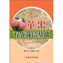 苹果有袋栽培基础