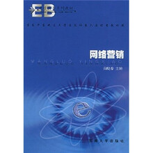 电子商务系列教材：网络营销