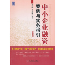 中小企业融资:案例与实务指引