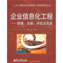 企业信息化工程：建模、诊断、评估及实践