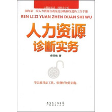 人力资源诊断实务