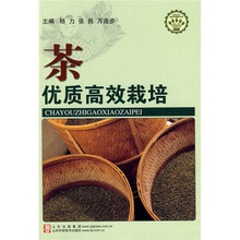 茶优质高效栽培/社会主义新农村建设文库