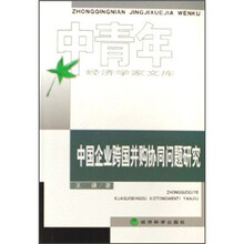 中国企业跨国并购协同问题研究