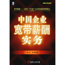 中国企业宽带薪酬实务