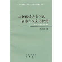 从新感受力美学到资本主义文化批判：苏珊·桑塔格思想研究