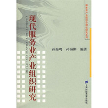 现代服务业产业组织研究