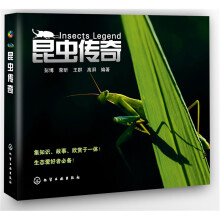 昆虫传奇(附光盘1张)
