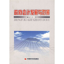 政府会计发展与对策