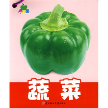 青苹果早教启蒙2（套装6册）