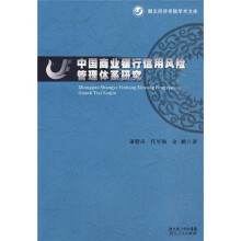中国商业银行信用风险管理体系研究