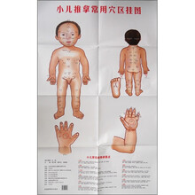 小儿推拿常用穴区挂图