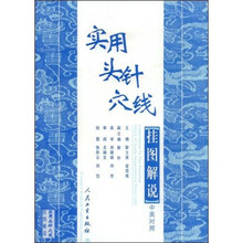 实用头针穴线挂图解说(中英对照)