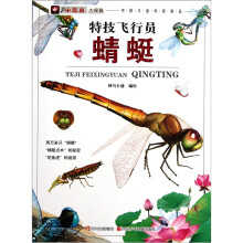 特技飞行员:蜻蜓