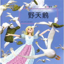 他她阅读:野天鹅