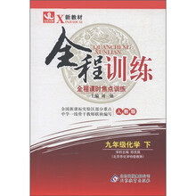 新教材·全程训练：9年级化学（下）（人教版）