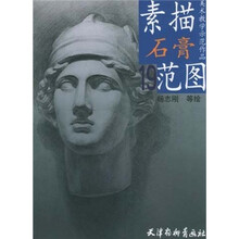 素描石膏范图（19）/美术教学示范作品