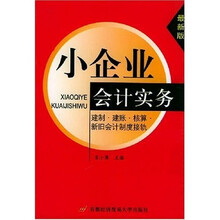 建制建账核算新旧会计制度接轨：小企业会计实务（最新版）