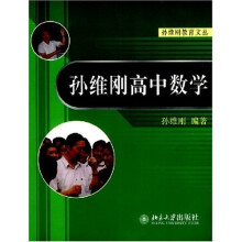 孙维刚教育文丛：孙维刚高中数学