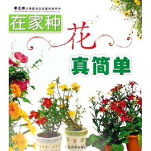 在家种花真简单