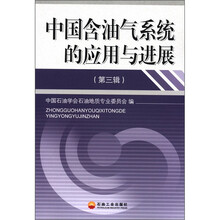 中国含油气系统的应用与进展（第3辑）