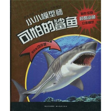 小小模型师：可怕的鲨鱼