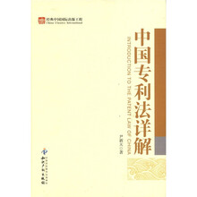 中国专利法详解