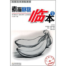 基础美术训练教材：素描静物临本1