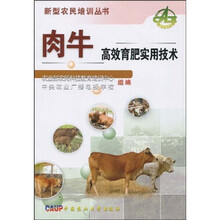 肉牛高效育肥实用技术