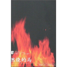 燃烧的马