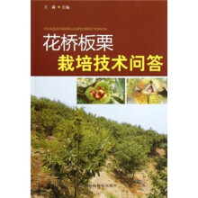 花桥板栗栽培技术问答