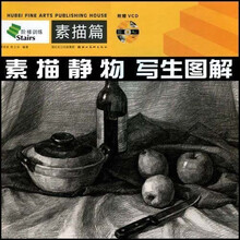 阶梯训练：素描静物写生图解（附光盘1张）（素描篇）