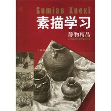 素描学习:静物精品