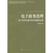 电子政务治理：电子政务实施中的决策制度安排