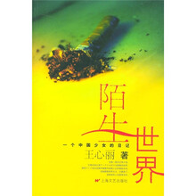 陌生世界:一个中国少女的日记