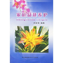 家庭盆花养护